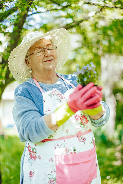 istock Smiling senior woman is gardening 589546012