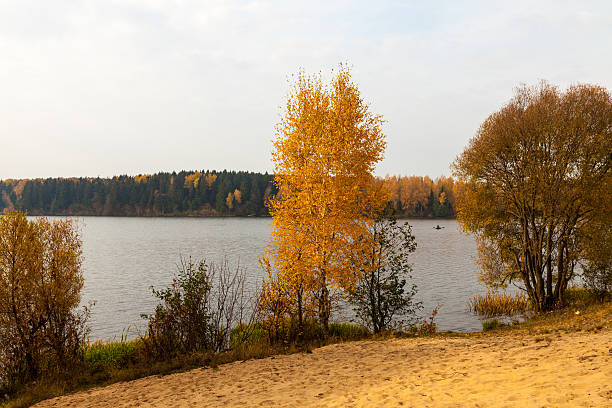 istock Autumn landscape with fisherman 589547126