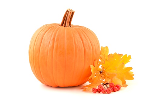 Pumpkin Isolated On White Background with Leaves.