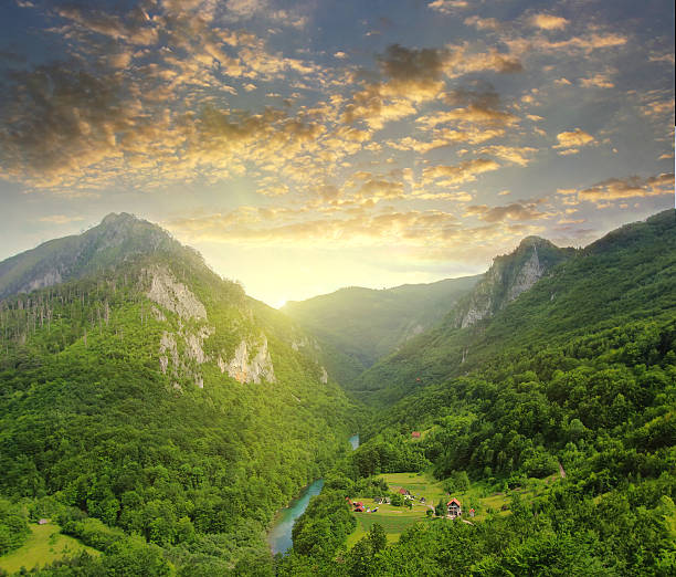istock Mountains of Tara river in Montenegro 589547770
