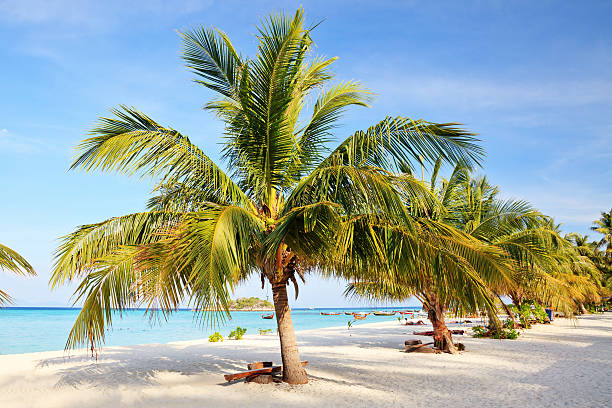 istock Beach and tropical sea 589548572