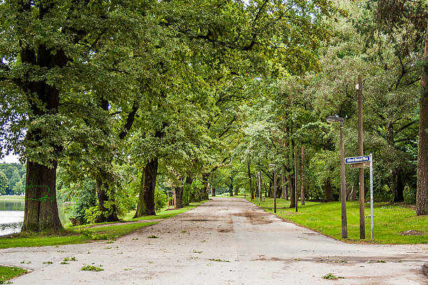 istock Road in a park with trees next to a pond 589550400