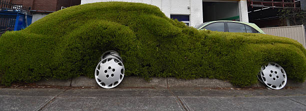 istock Green Hedge shaped in a car 589550574