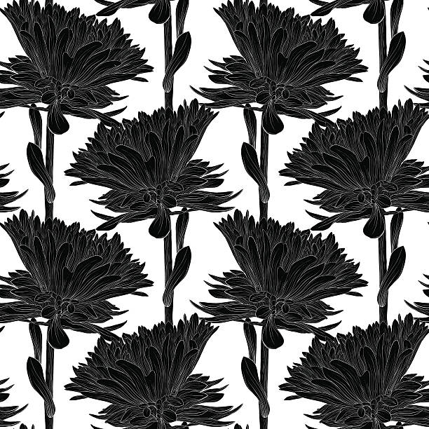 illustrazioni stock, clip art, cartoni animati e icone di tendenza di bellissimo monocromatico, bianco e nero di sfondo senza soluzione di continuità con i fiori aster. - etching beautiful entertainment industry