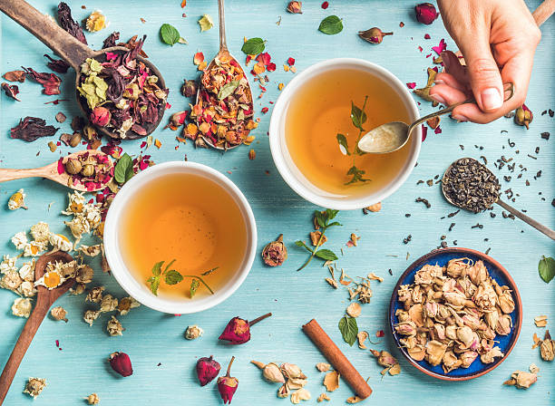two cups of healthy herbal tea with mint, cinnamon, dried - herbal tea imagens e fotografias de stock
