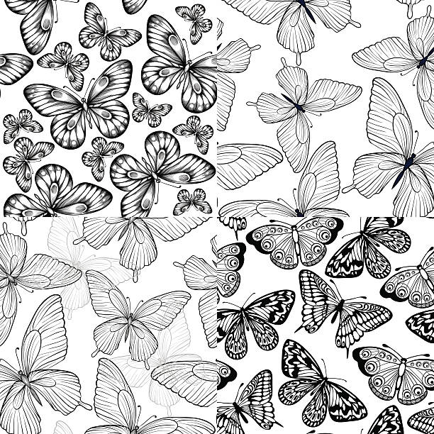 набор черный и белый бесшовный фон с бабочками. - butterfly single flower vector illustration and painting stock illustrations