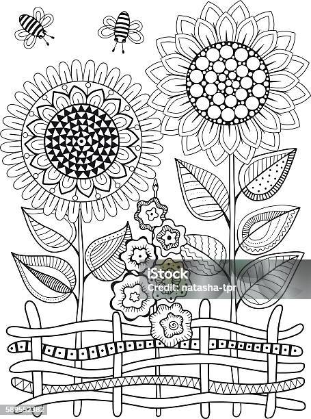 Vetores de Girassóis De Rabiscos Vetoriais Livro De Colorir Para Adulto Flores De Verão Canteiro De Flores e mais imagens de Página de livro de colorir - Técnica de ilustração