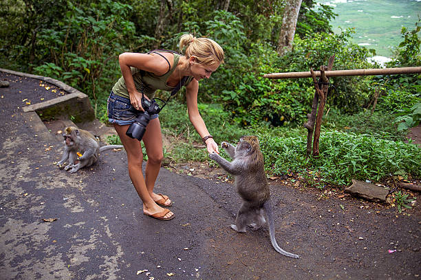 istock Female photographer and monkey 589553460