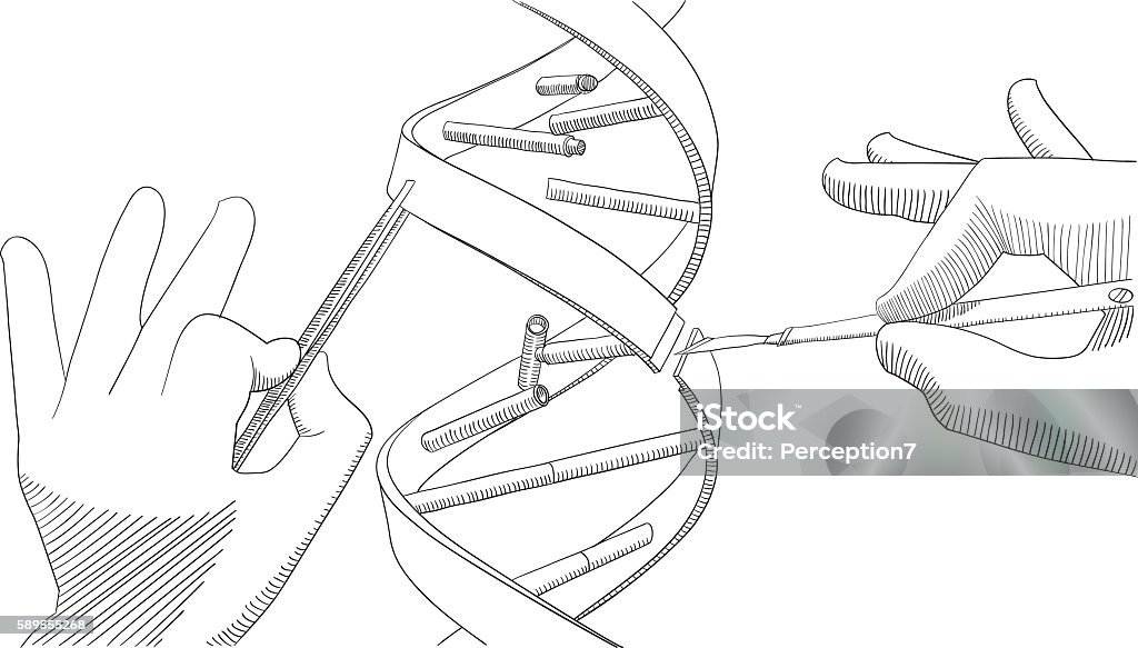 Manual genetic engineering Manipulation of DNA with bare hands, tweezers and a scalpel - drawing DNA stock vector