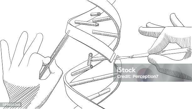 Manual Genetic Engineering Stock Illustration - Download Image Now - DNA, Editor, Improvement