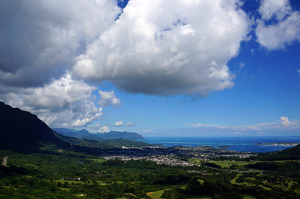 istock Landscape in Hawaii 589555494