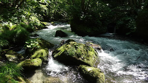 istock Aomori-ken  Oirase valley stream 589556140