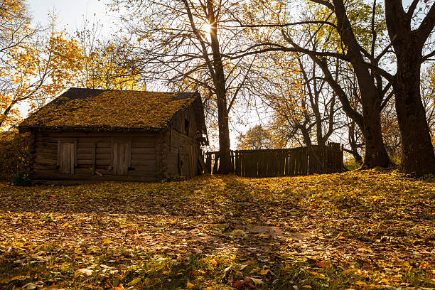 Abandoned wooden house in golden autumn stock photo