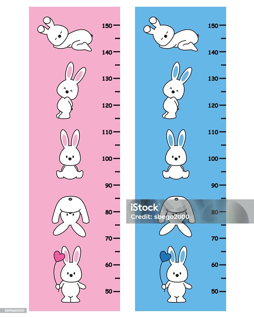 Meter Long Rabbit Rabbits Meter Wall Stock Illustration - Download Image Now - Baby ...