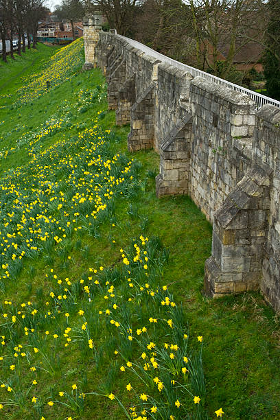istock Spring, city walls, York, UK 589560374