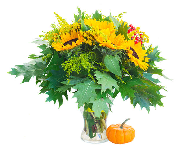 istock Sunflowers with green leaves 589560518