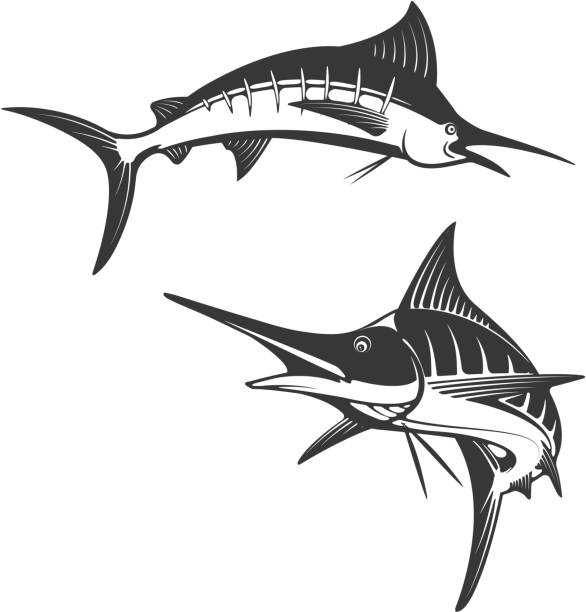 ilustrações de stock, clip art, desenhos animados e ícones de marlin fish icons. - marlin sailfish nature saltwater fish