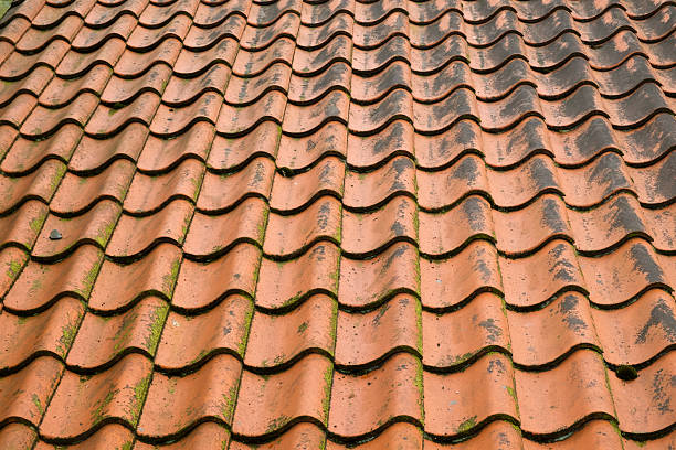 istock Architecture texture - Red roof tiles 589560936