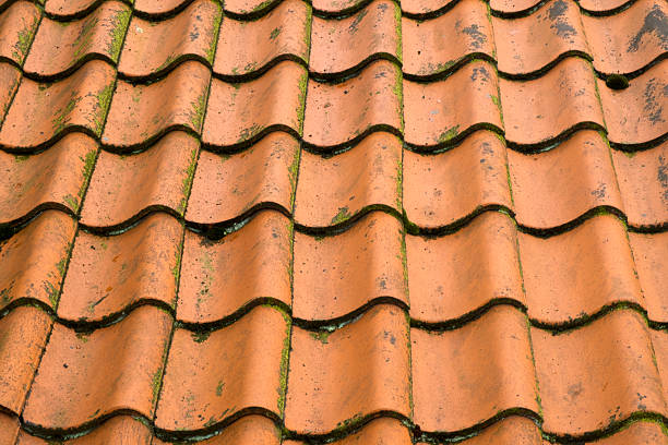 istock Architecture texture - Red roof tiles 589561122