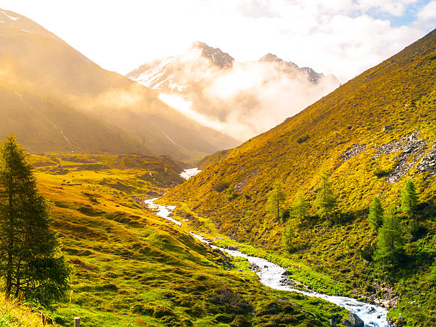 istock Morning in the alpine valley 589562436