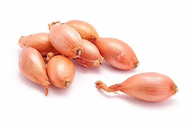 shallot onions isolated on white