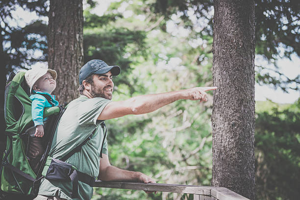 istock Father Backpacking Hiking with Baby in Forest 589571060