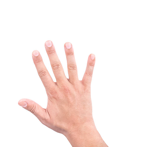 istock hand of a man showing five count 589571134