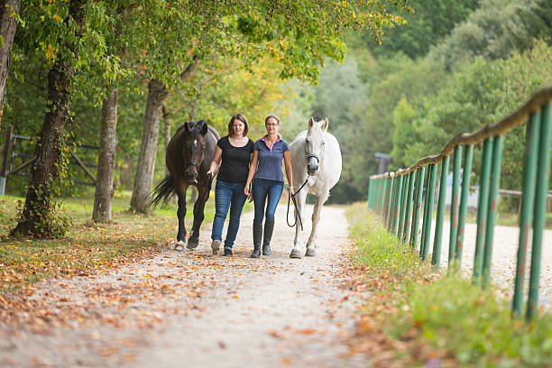 istock Friends With Their Horses 589573414
