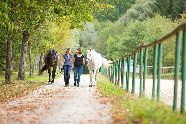 istock Friends With Their Horses 589574334