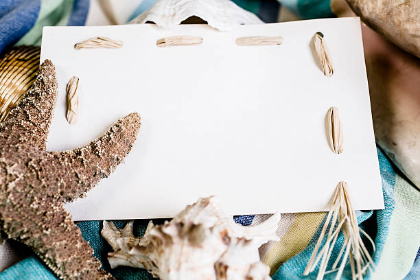 istock Blank, white notecard with seashells, beach blanket. 589576734