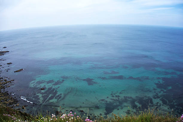 The sea on a Summer day from cliffs. Curved horizon from wide angle lens.
