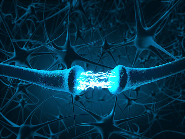 istock Inside the brain. Concept of neurons and nervous system. 589584082