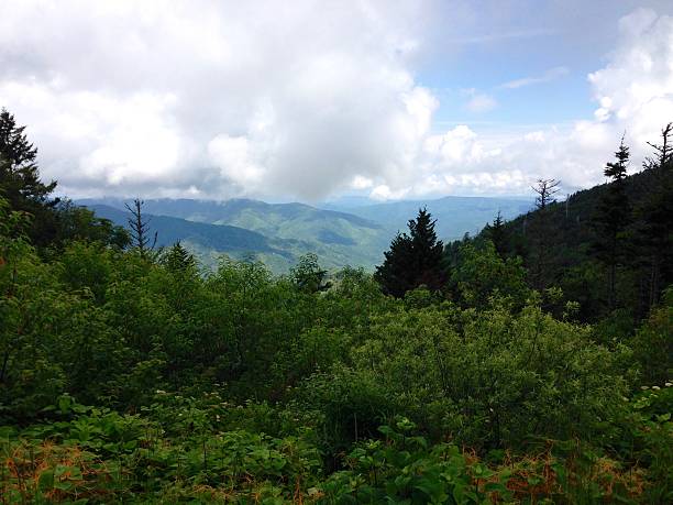 istock Fog in the Smoky Mountains 589584226