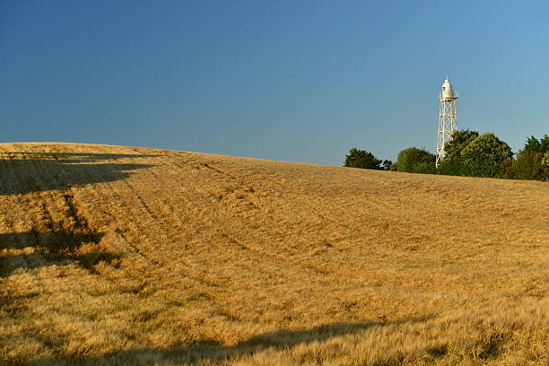 Near sunrise Summer image of a lighthouse and a field of Barley in St.Clement.