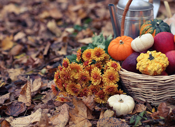 istock Autumn still life with different pumpkins 589585386