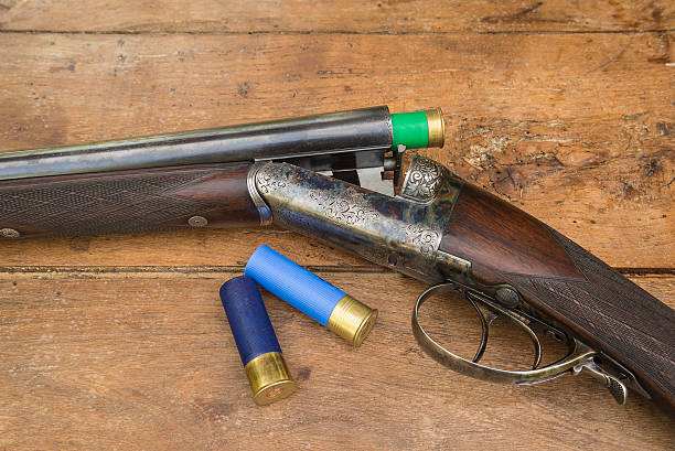 istock One antique hunting gun with three hunting cartridges 589939266