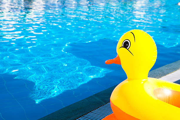 istock Yellow rubber duck near the pool 589940892