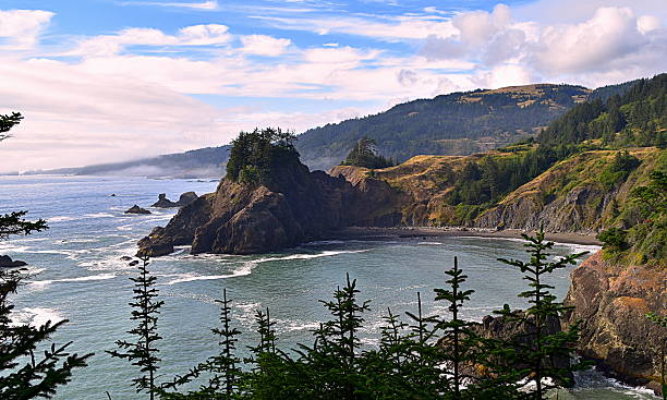 istock Beautiful Oregon coast, USA 589943160