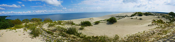 istock panoramic view of sand dune and sea 589944046