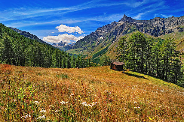 istock meadow with panoramic view on Alpien mountains 589945258