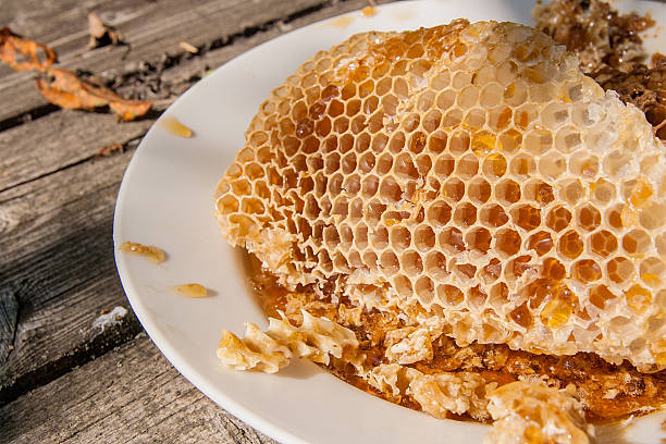 istock White plate with section of wax honeycomb from beehive 589945880