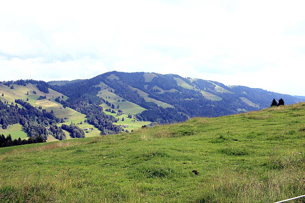 berggipfel - alm bavaria mountain summer fotografías e imágenes de stock