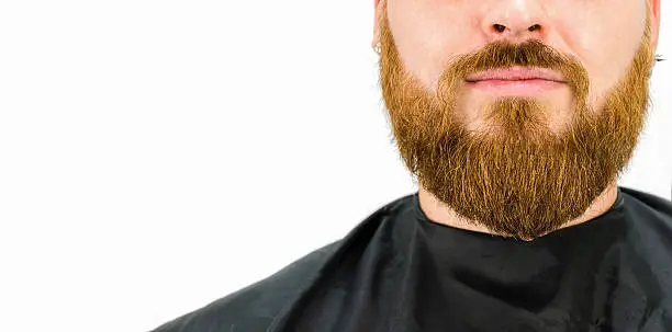 Photo of redhead long beard, design chin in the salon