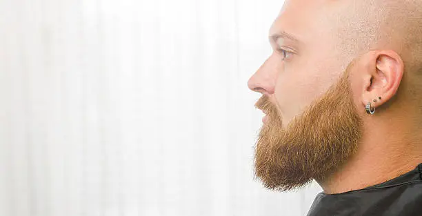 Photo of redhead long beard, design chin in the salon