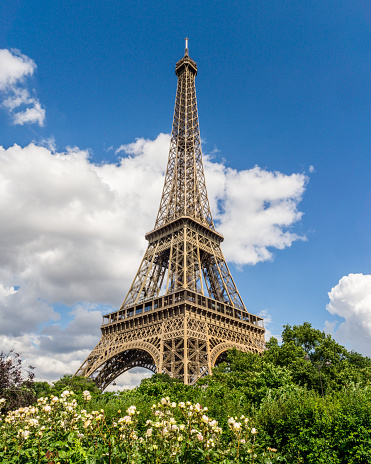 Eiffel tower in Paris. Summer.