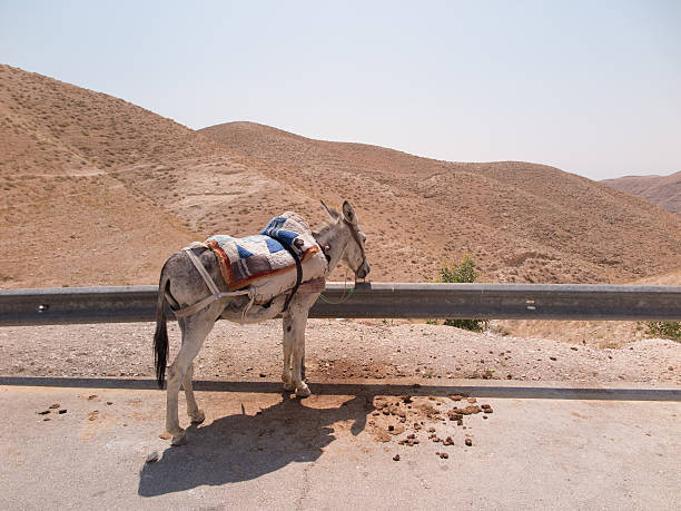Farewell, space tourists heading out to the desert of Judea in Israel