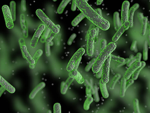 Bacteria stock photo