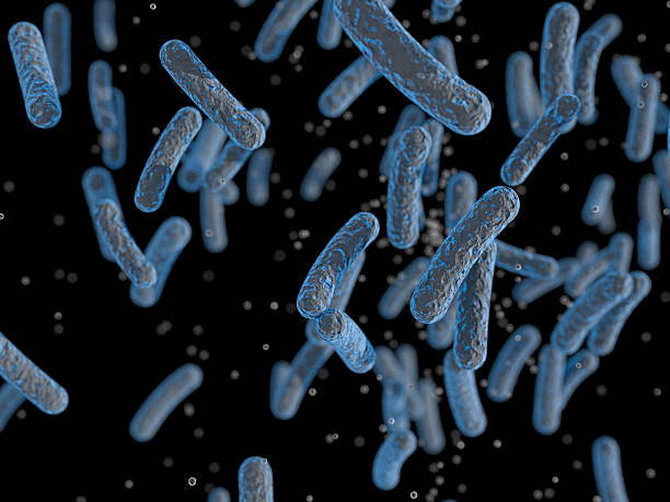 Bacteria, Microbes stock photo