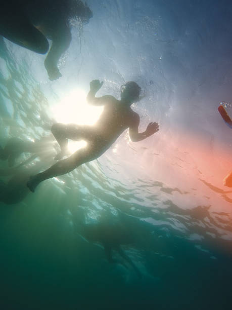 istock people swim in the sea - bottom view 589954314