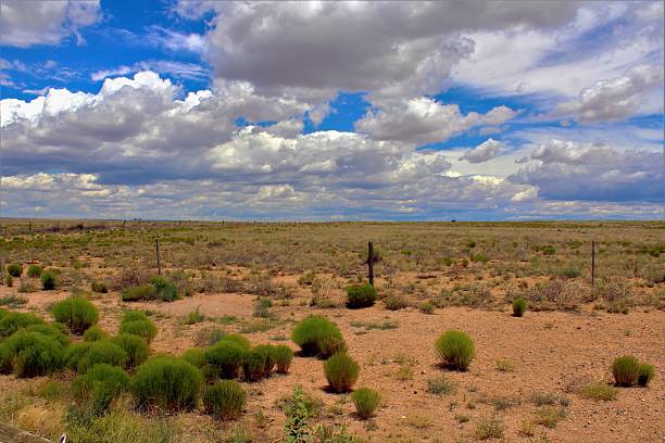 istock Barbed Wire Fences Across Scenic Desert 589956628